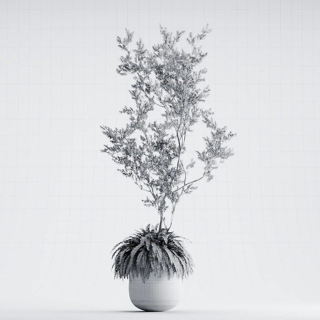 Indoor Plant 01 - ORGANIKA — Descargar