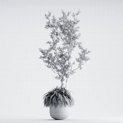 Indoor Plant 01 - ORGANIKA — Ver 4
