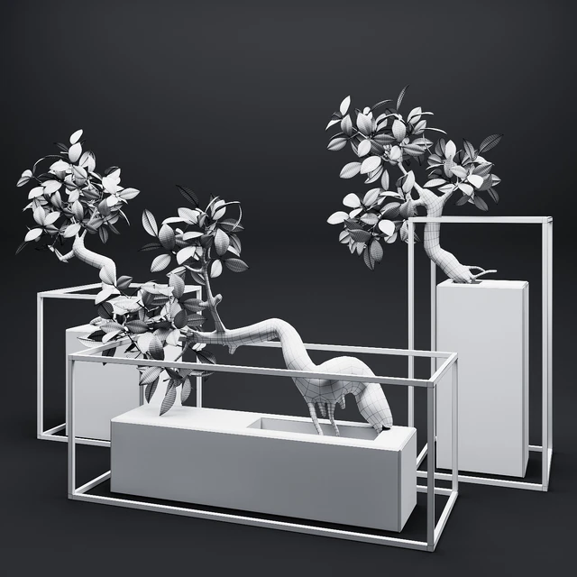 Set of mangrove branches in a vases — Скачать