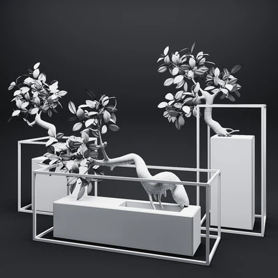 Set of mangrove branches in a vases — Вид 3
