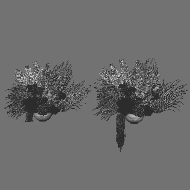 Flower Set 035 Big Pampas — Descargar