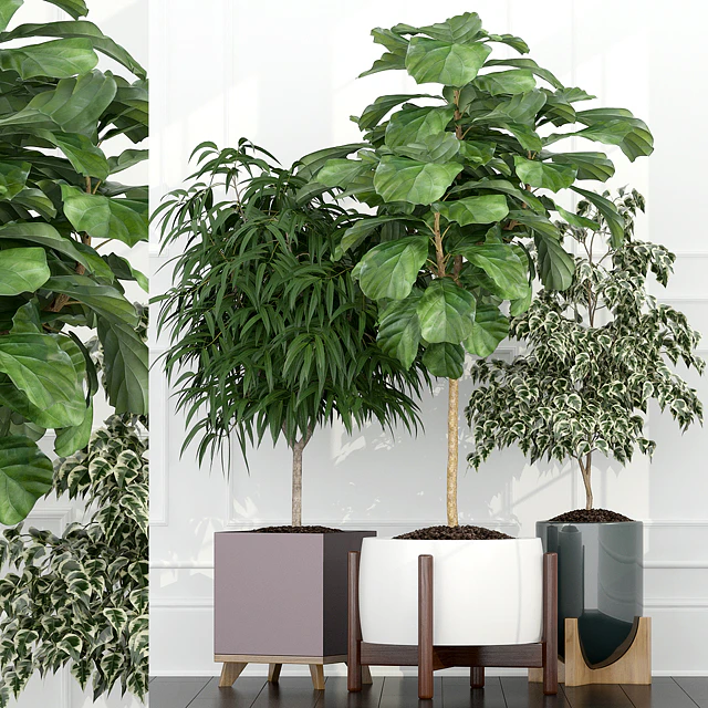 Plants collection 67 — Скачать