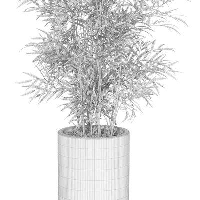 Plants collection 1009 — Вид 4