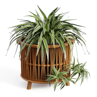 Maiki Woven Planters — Вид 4
