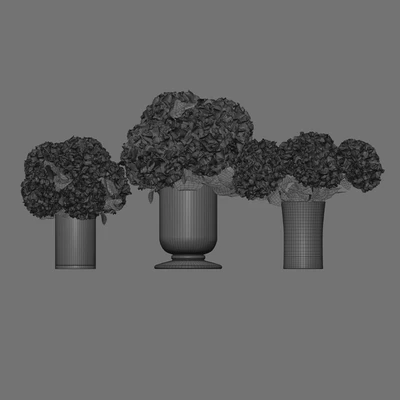 Hydrangea set 002 — Вид 4