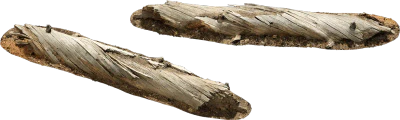 large fallen tree 001 — Descargar