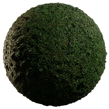 grass 012 — Descargar