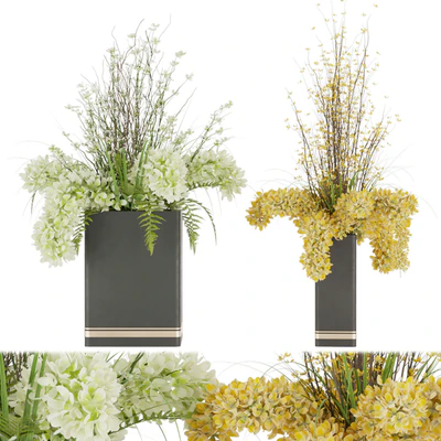 Collection plant vol 56 — Ver 1