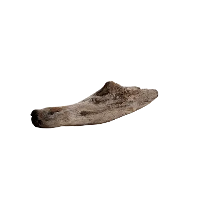 beach wood debris 002 — Descargar