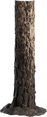 blackened tree trunk 001 — Descargar