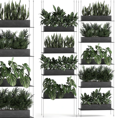 Vertical gardening of the home garden on a black flower shelf with a Monstera, a phytosten, a phytomodule. Set of 64 — Ver 1