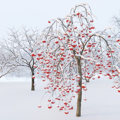 Winter trees # 1 — Ver 5