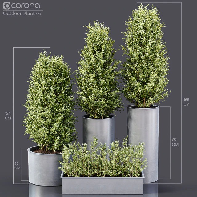 Outdoor Plants 01 — Скачать