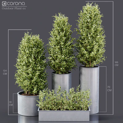 Outdoor Plants 01 — Вид 1