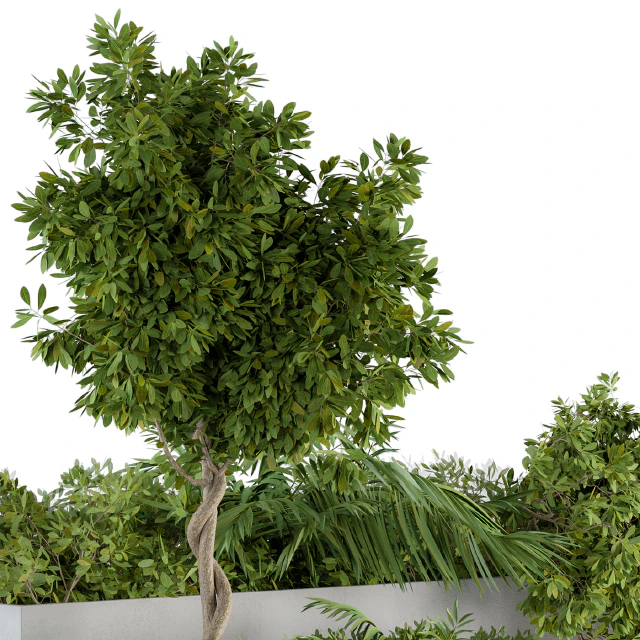 outdoor Plants Concrete Box - Set 45 — Скачать