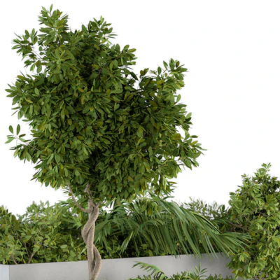 outdoor Plants Concrete Box - Set 45 — Вид 3