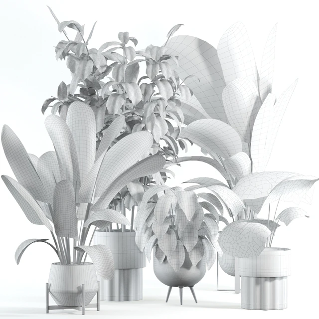 indoor plant 308 — Скачать