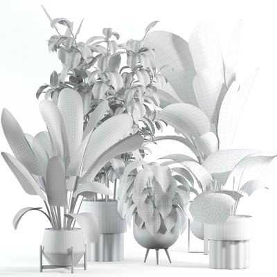 indoor plant 308 — Вид 2