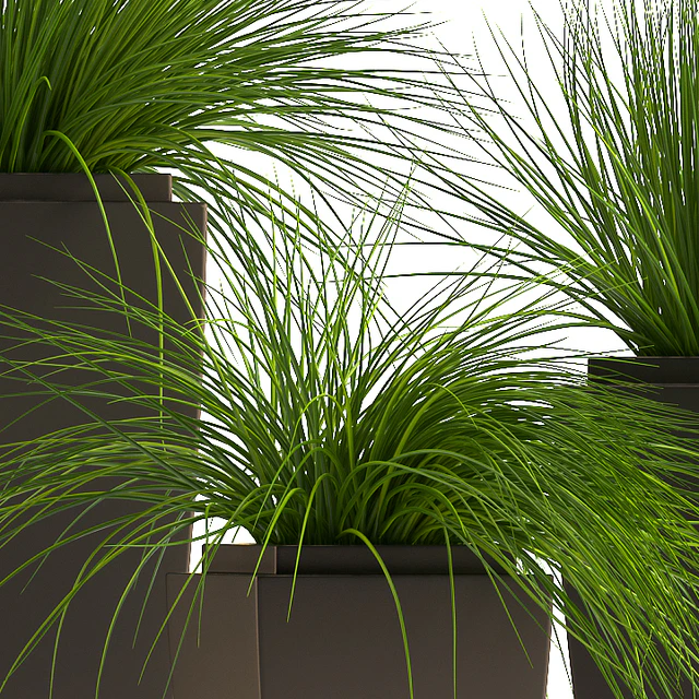 PLANTS 59 — Descargar