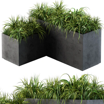 Outdoor Concrete Plant Box with Cereals and Green Grass — descargar