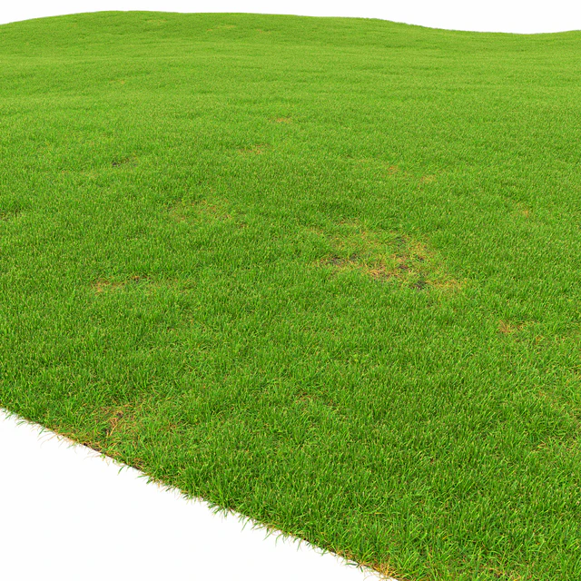 Grass lawn — Descargar