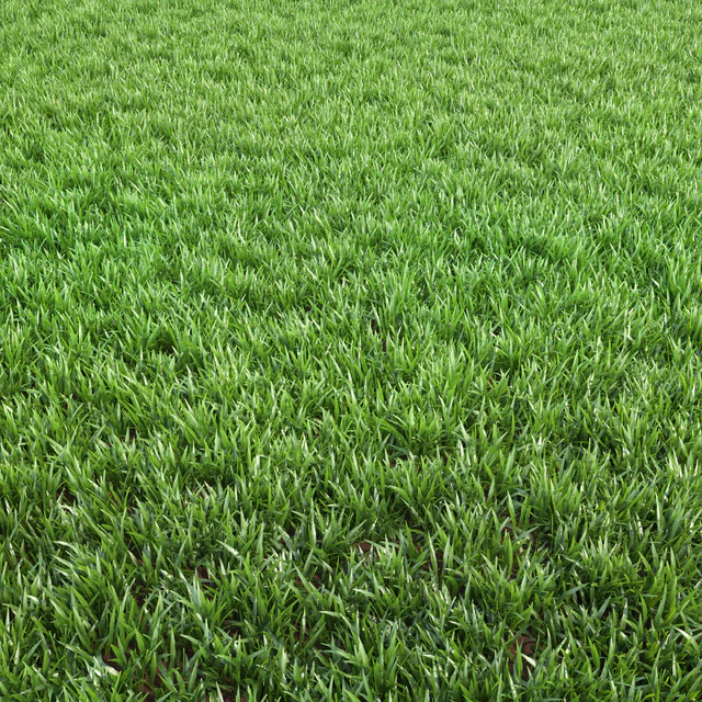 Arch grass 02 — Descargar