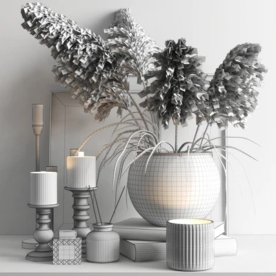 set356 -Cortaderia — Ver 3