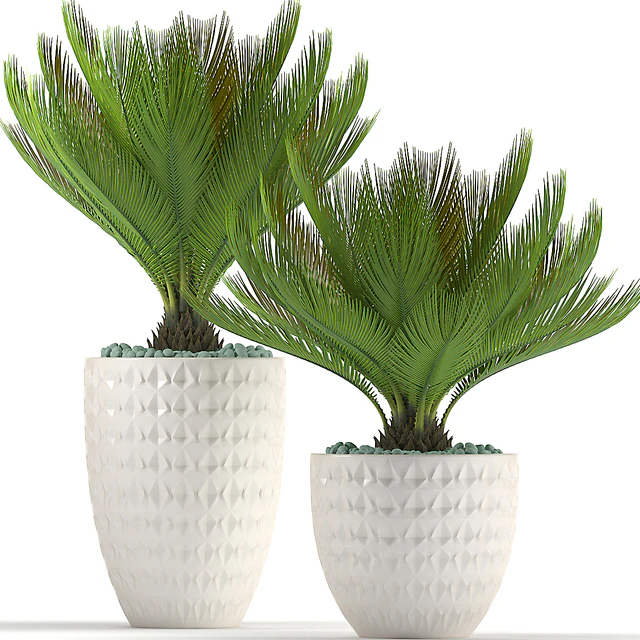PLANTS 39 — Descargar