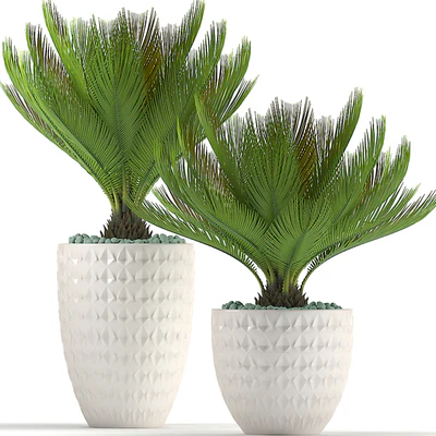 PLANTS 39 — Ver 2