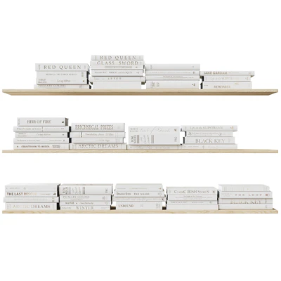 Set of books Books Beige 1 — Ver 5