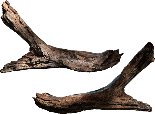 tree branch 012 — Скачать