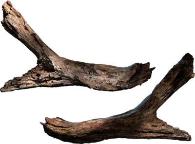 tree branch 012 — Скачать
