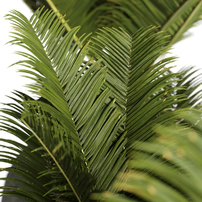 Restoration Hardware Cantera Planters With Sago Palm — Ver 5