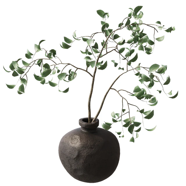 branches in a vase — Descargar
