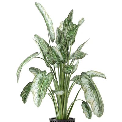 Indoor Plants  in Metal Pot - Set 842 — Вид 4