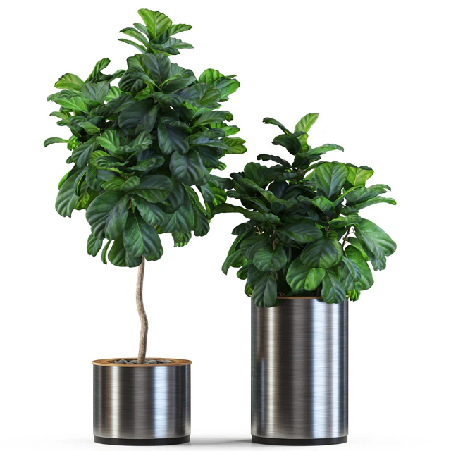 Plants collection 550 — Скачать
