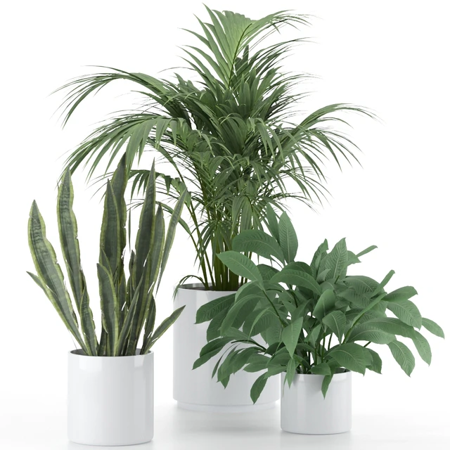 Plant-Set-001 — Descargar