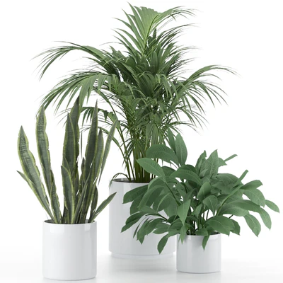 Plant-Set-001 — Ver 1