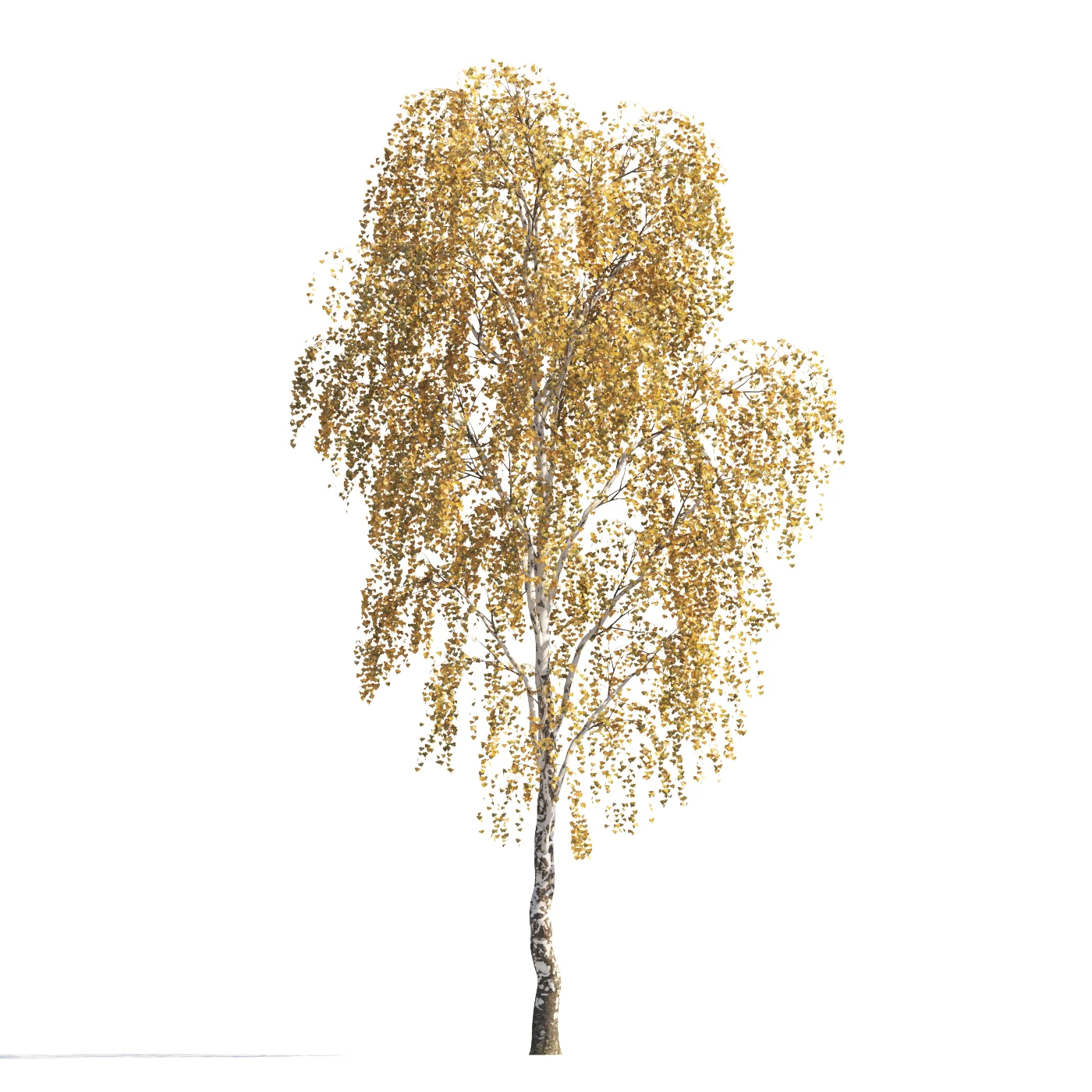 006 autumn — Download