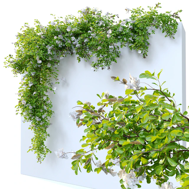 Hanging Plant 12 — Descargar