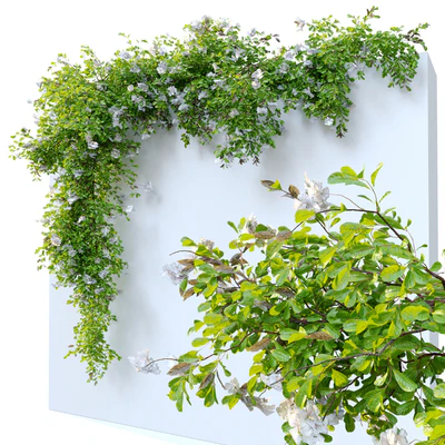Hanging Plant 12 — Ver 2