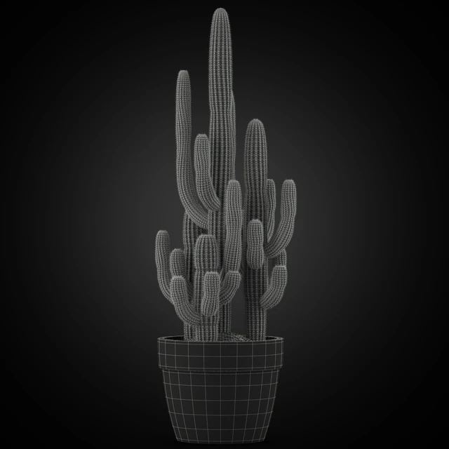 Plants collection 254 — Descargar