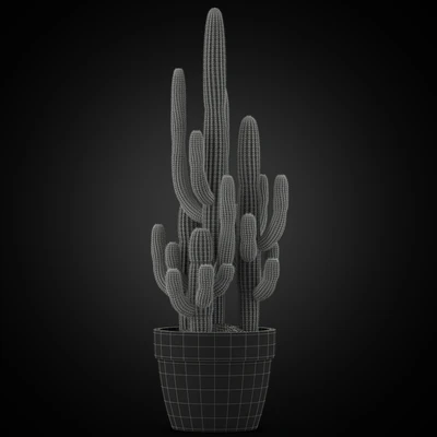 Plants collection 254 — Ver 3