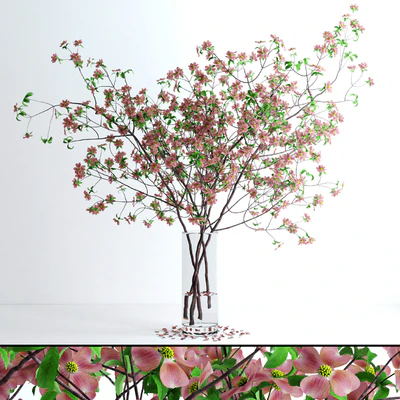 Dogwood Pink Blossom — Ver 2