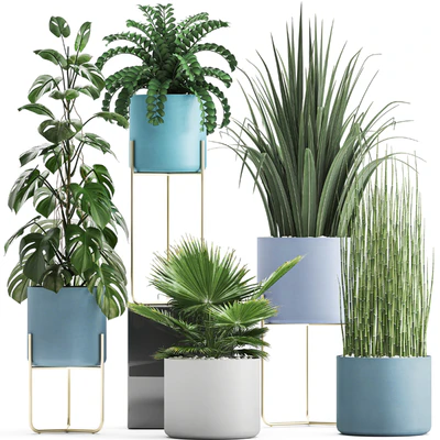 Plant collection 281. Monstera, brachea, palm tree, horsetail, indoor plants, pot, Scandinavian style, bushes, exotic, indoor — Ver 1