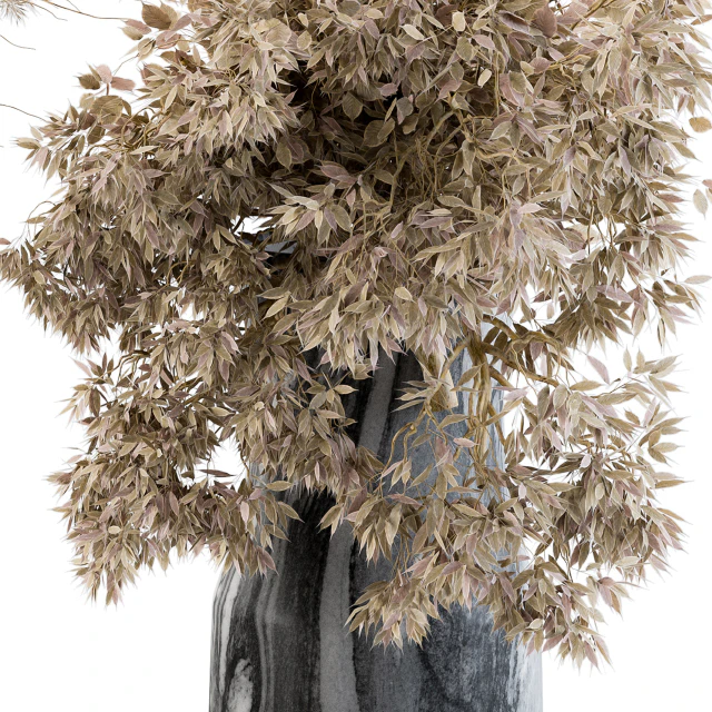 Dry plants 14 — Descargar
