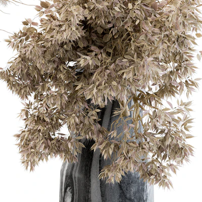 Dry plants 14 — Ver 3