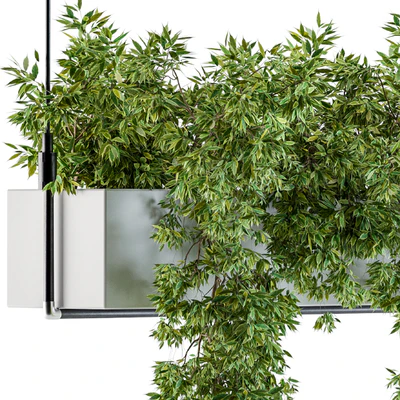 Hanging box plant — Ver 4