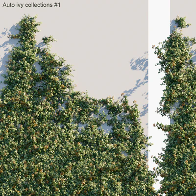 Auto ivy collections # 1 — Ver 2
