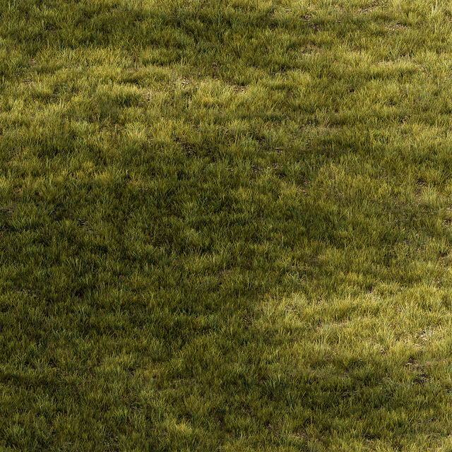 Short Grass Set 29 — Descargar